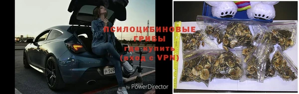 прущая мука Абаза