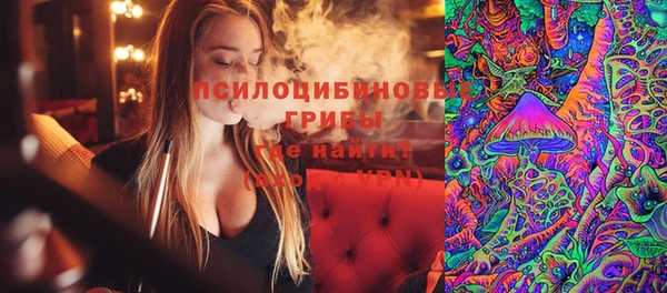 ПСИЛОЦИБИНОВЫЕ ГРИБЫ Абинск