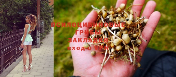 дмт Абдулино