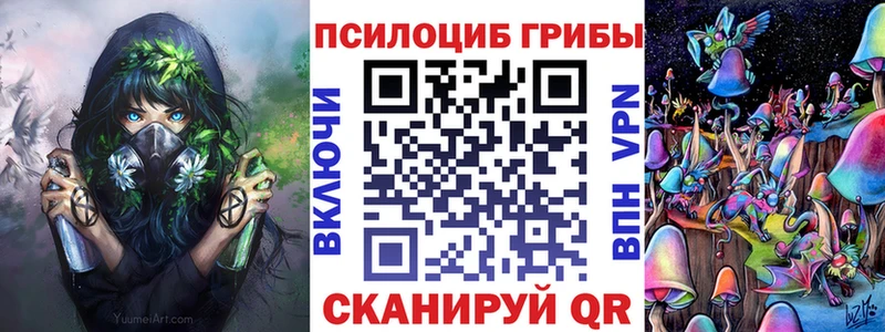 Псилоцибиновые грибы мицелий  Щёкино 