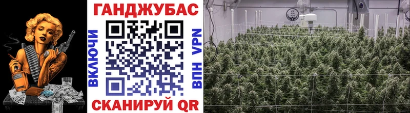 Бошки марихуана ГИДРОПОН  купить наркотик  OMG маркетплейс  shop клад  Щёкино 